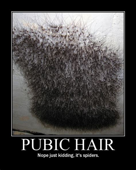 wet hairy bush|Category : Pubic hair (female) by color